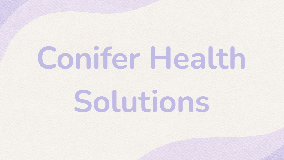 Conifer Health Solutions